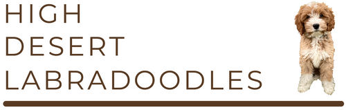High Desert Labradoodles